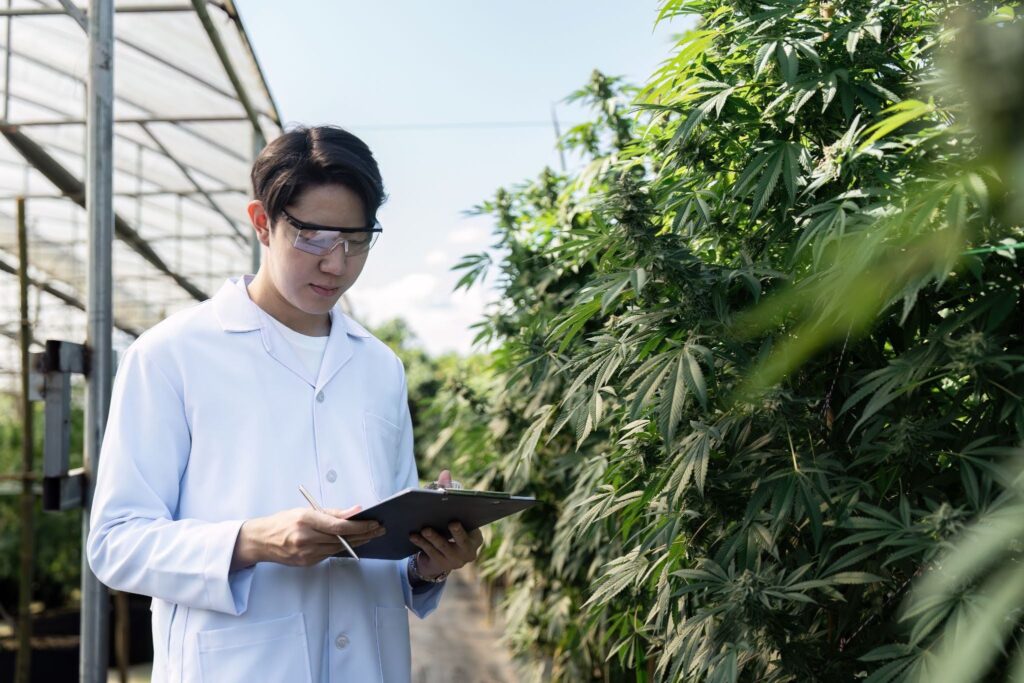 researcher holding notepad in cannabis farm