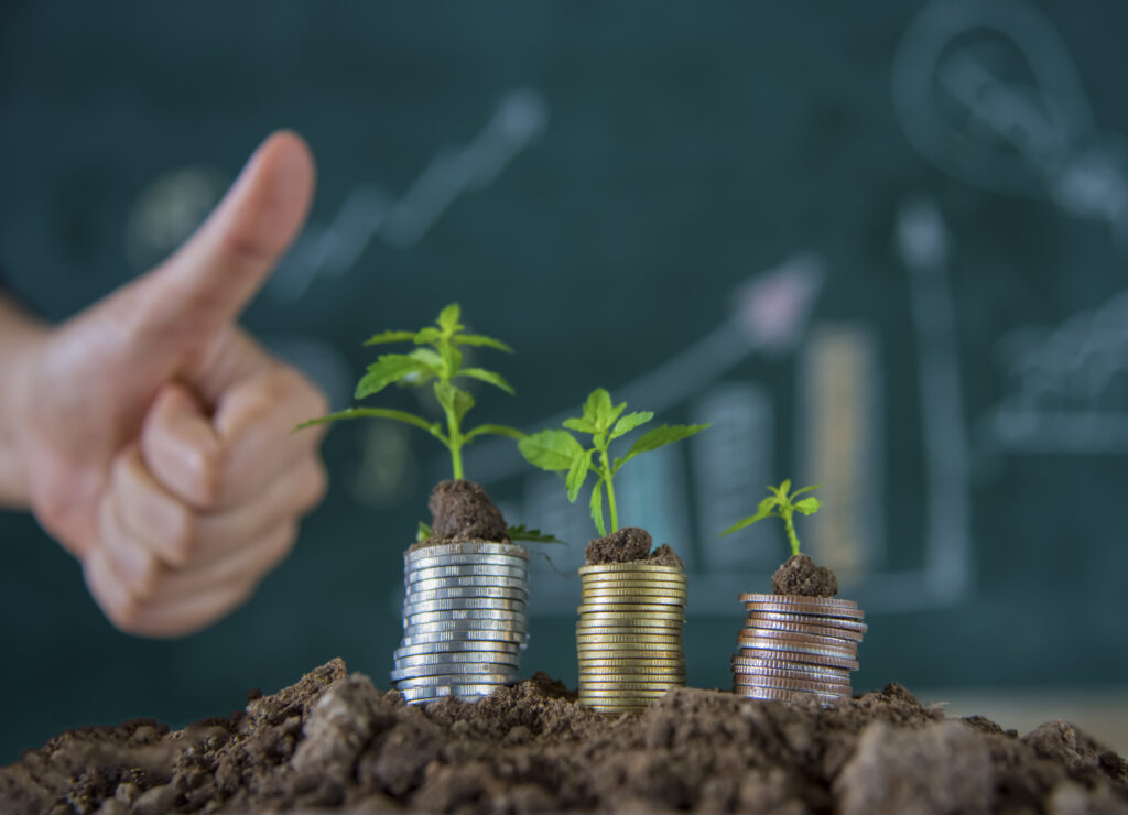 growing money plant with thumb on chart