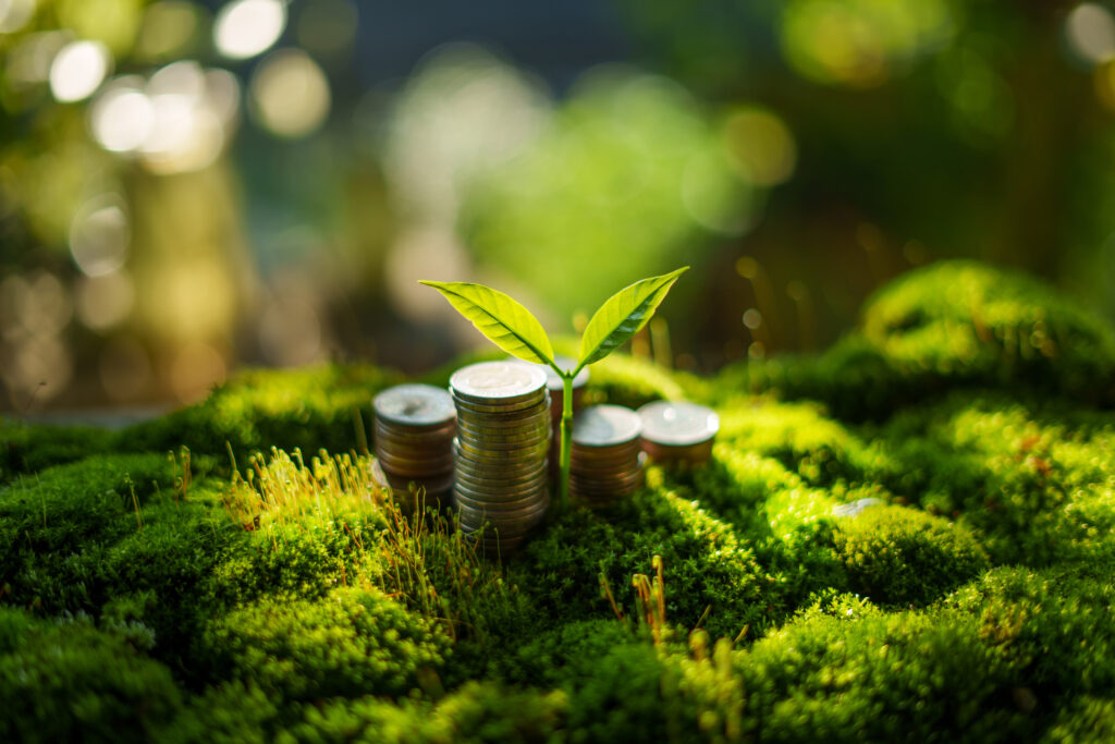 money, growth and environment