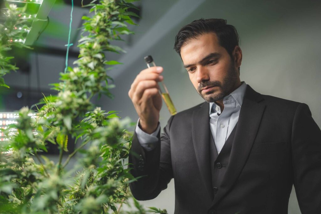 person testing cannabis